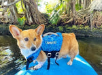 A corgi wearing the Dog Neoprene Vest in blue camo, standing on a paddleboard in a tropical water setting.